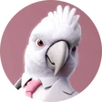 diegomadrid77